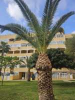 Verasol home apartment 2 bedrooms torrevieja costa blanca